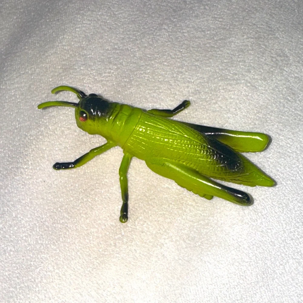 Green Grasshopper Bug Science Play Toy Cricket Kids Children’s Science Figurine